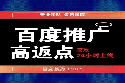 竞价代运营成功案例解析